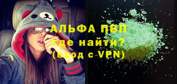 сатива Новокубанск