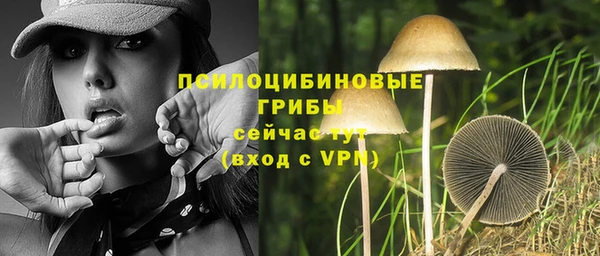 прущая мука Ельня