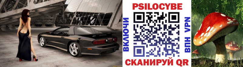 Псилоцибиновые грибы мицелий  блэк спрут как зайти  Пролетарск  где купить наркоту 